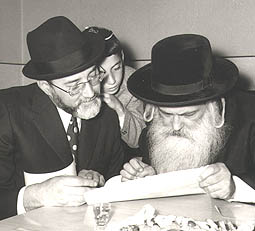 rabbin Horowitz